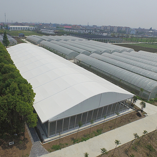 Large span archy tent