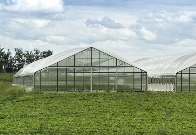 Greenhouse Grow Tent